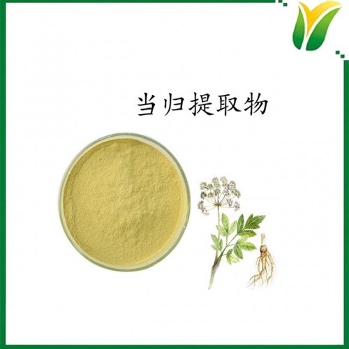植物提取物 当归提取物10：1 干归提取物