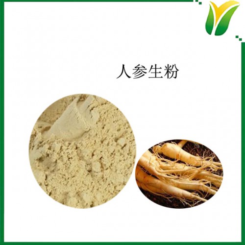 人参粉 人参生粉 人参原粉  人参提取物