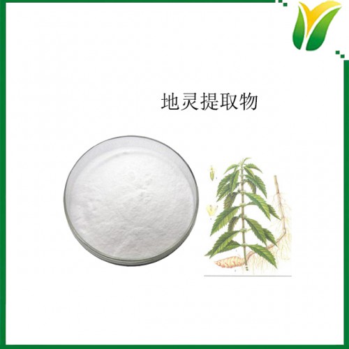 地灵提取物 水苏糖含量60% 植物提取物