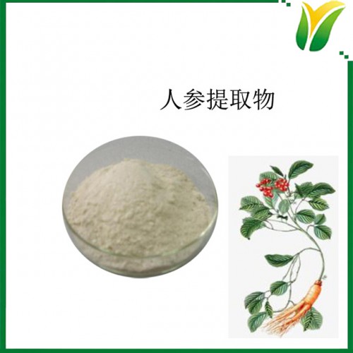 人参提取物 人参皂苷10% HPLC检测 人参粉