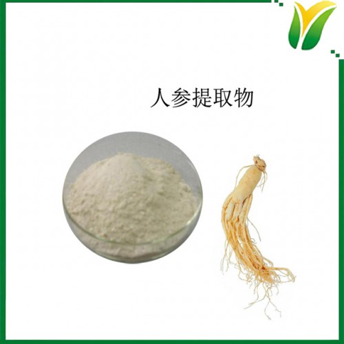 人参提取物 人参皂苷10% UV 人参皂甙 人参萃取粉