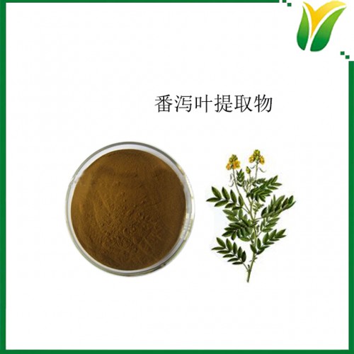 番泻叶提取物 番泻叶甙8% 植物提取物