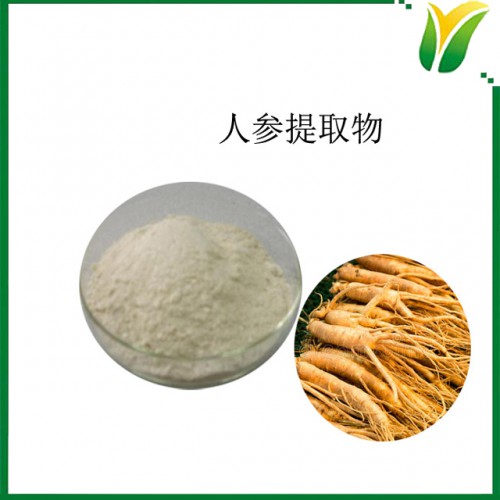 人参提取物 人参皂甙20% HPLC 人参总皂苷