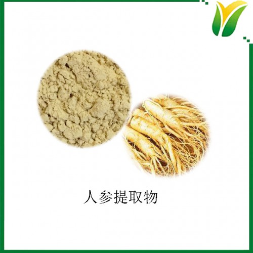 人参提取物 人参皂甙50% 黄参萃取物 地精萃取粉