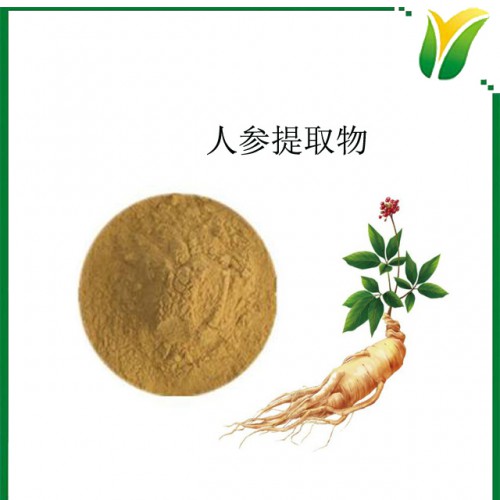人参提取物 5:1 人参水提萃取粉 东北人参粉