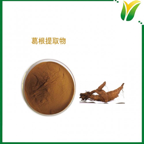 葛根提取物 葛根黄酮60% 葛根黄酮粉