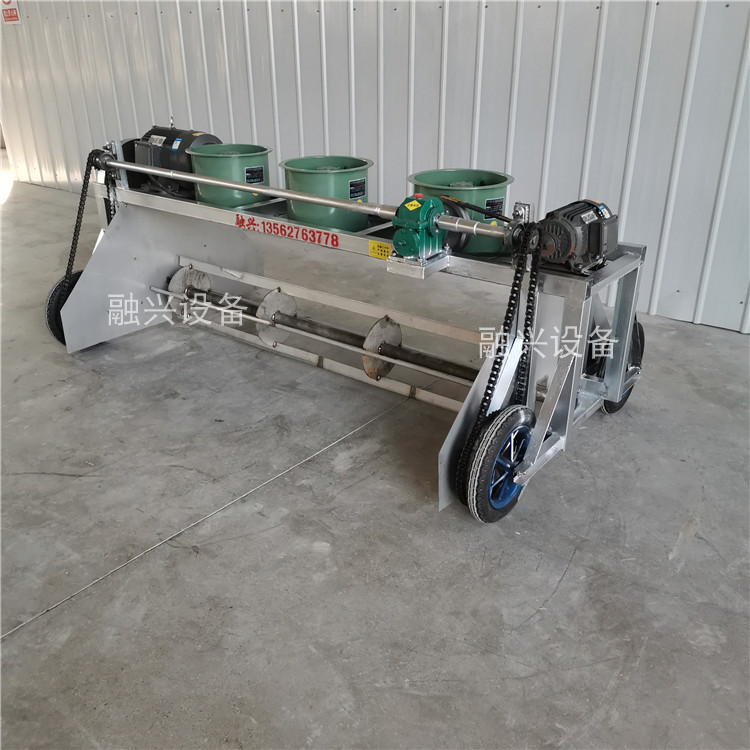 Summer beach concept