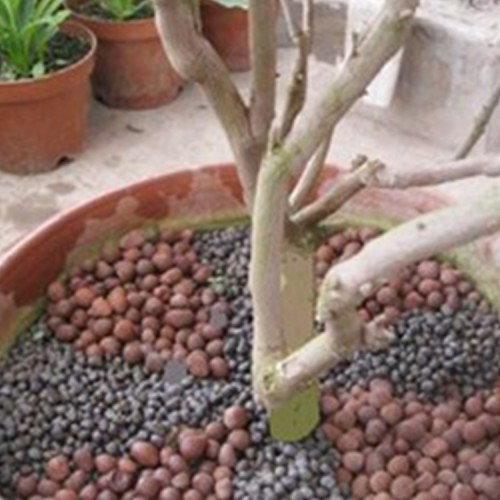 园林绿化陶粒 花卉园林陶粒 种植陶粒