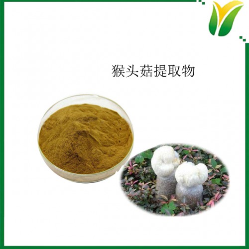 猴头菇提取物 多糖30% 植物提取物