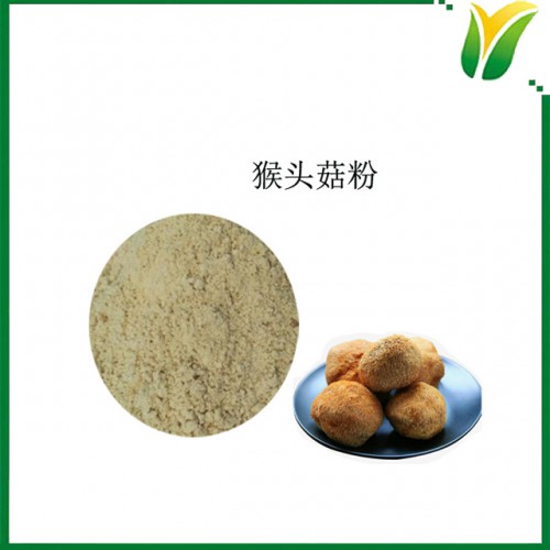 猴头菇生粉 猴头菌粉100目 猴蘑粉 植物提取物