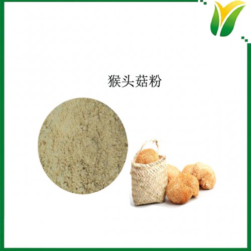 猴头菇生粉 200目 猴蘑粉 植物提取物