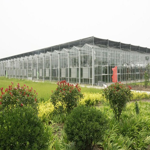 定制玻璃温室大棚 玻璃温室厂家 连栋玻璃温室设计与安装