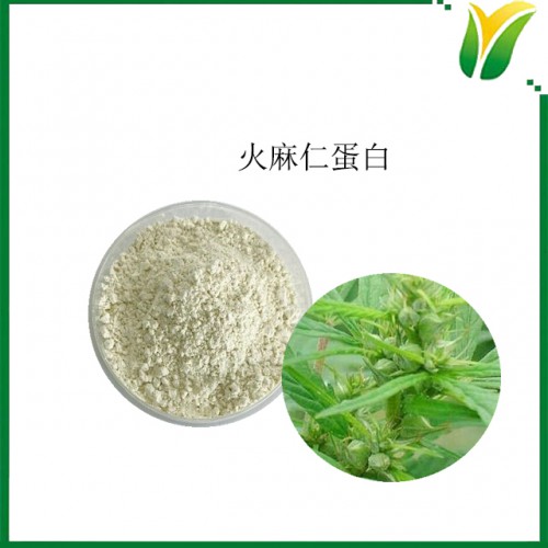 火麻仁蛋白 蛋白含量50% 植物蛋白 火麻仁蛋白质粉