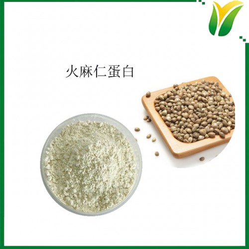 火麻仁蛋白 线麻蛋白60% 火麻子蛋白