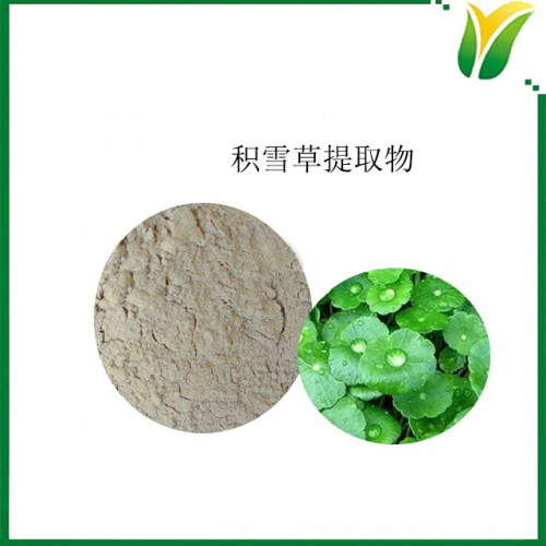 植物提取物 积雪草总甙5% 积雪草提取物
