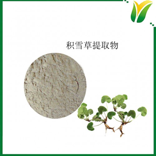 积雪草提取物 积雪草总甙40% 铜钱草萃取物 植物提取物