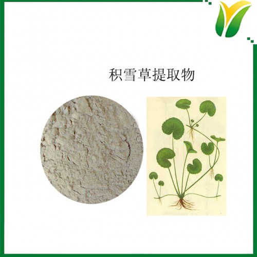积雪草提取物 积雪草单甙40% 植物提取物