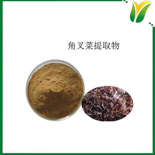 沟鹿角菜提取物 多糖30% 植物提取物