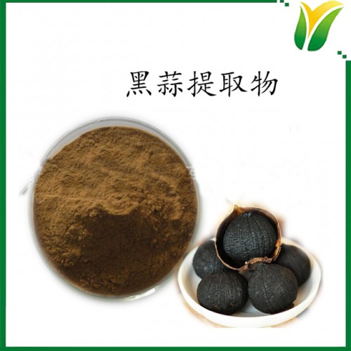 黑蒜提取物10：1 发酵黑蒜 植物提取物