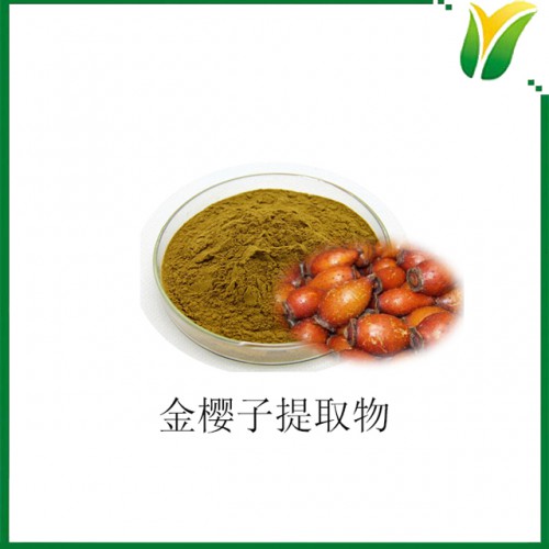 金樱子提取物5:1 刺榆子提取物 植物提取物