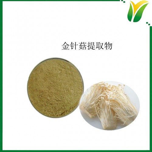 金针菇提取物10：1 构菌提取粉 植物提取物