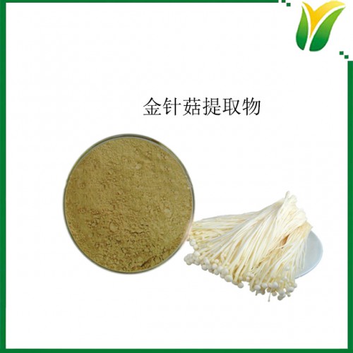 植物提取物 金针菇提取物 金针菇粉 多糖30%