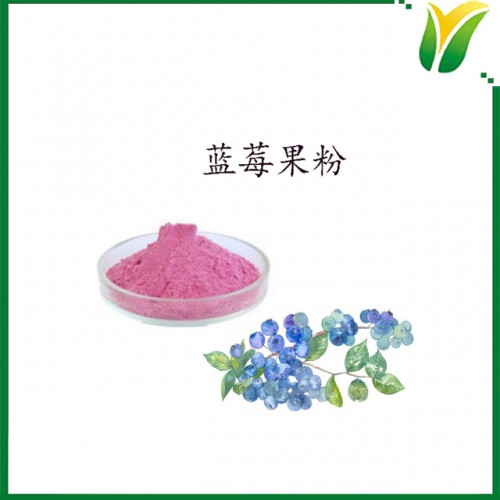 蓝莓果粉 蓝莓果汁粉 植物提取物 蓝莓粉