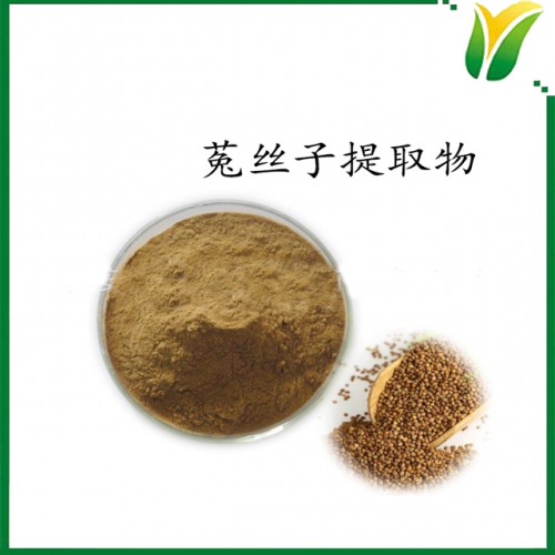 菟丝子提取物10：1 豆寄生比例提取粉 植物提取物