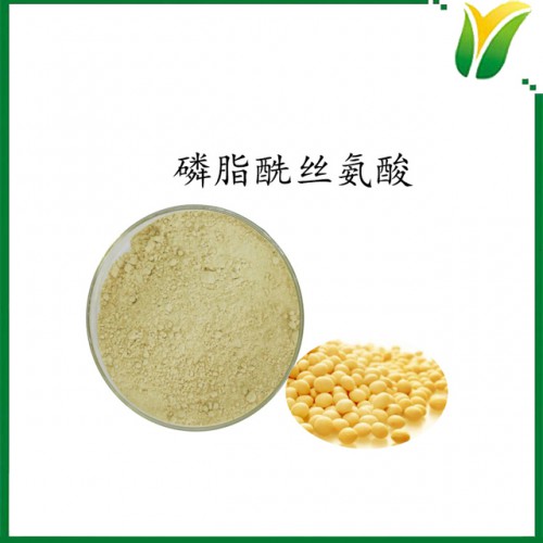 植物提取物 磷脂酰丝氨酸50% 大豆提取物