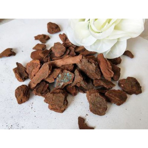 铁皮石斛盆栽专用松树皮  河南宏瑞松树皮功效