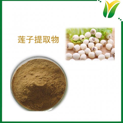 莲子提取物 多糖50% 藕实萃取物粉 植物提取物