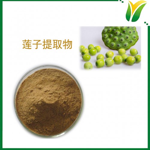 莲子提取物 多糖30% 植物提取物