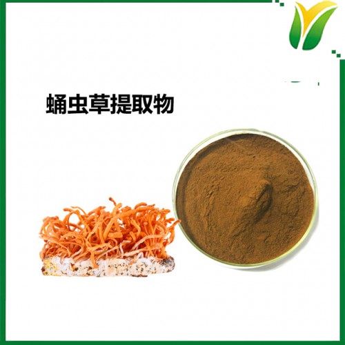 蛹虫草提取物 虫草萃取粉 北虫草植物提取物