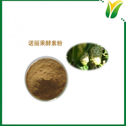 诺丽果酵素粉 诺丽果粉 诺丽果浆酵素粉