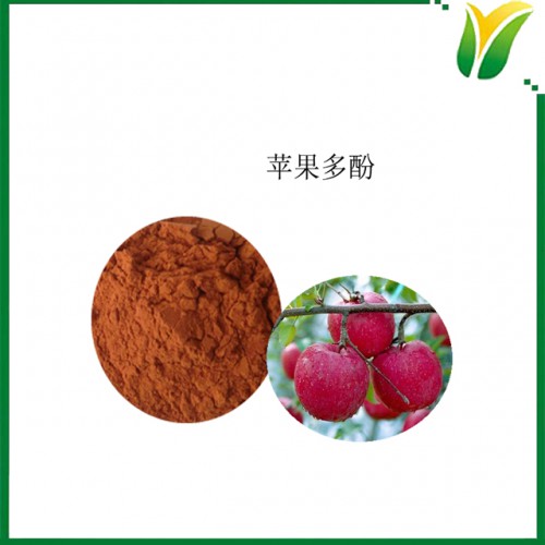 苹果多酚10% 苹果提取物 植物提取物