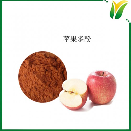 苹果提取物 苹果多酚粉 苹果多酚80% 植物提取物