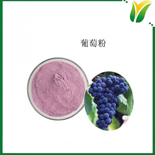 葡萄粉 Grape powder 葡萄果粉 植物提取物