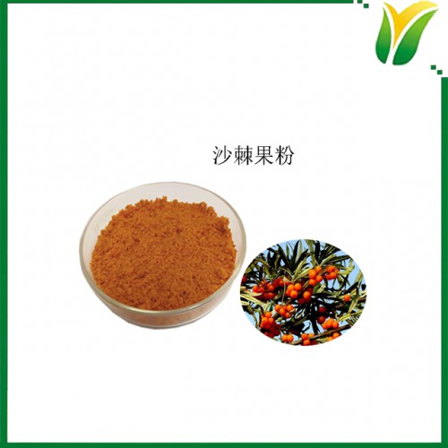 沙棘果粉 沙棘果浆低温真空干燥粉 植物提取物