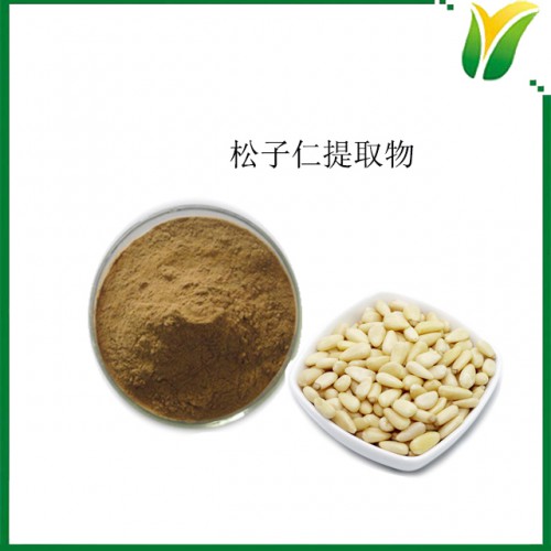 松子仁提取物10:1 植物提取物 松子仁浓缩粉