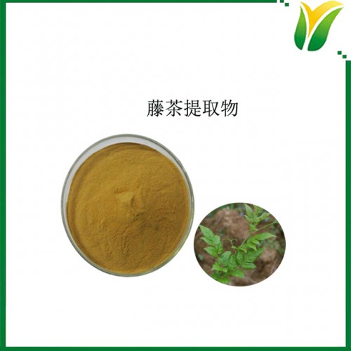 植物提取物 二氢杨梅素60% 藤茶提取物