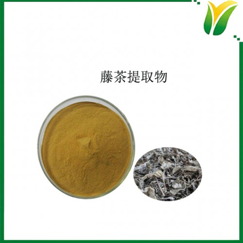 藤茶提取物 植物提取物 二氢杨梅素40% 白蔹素