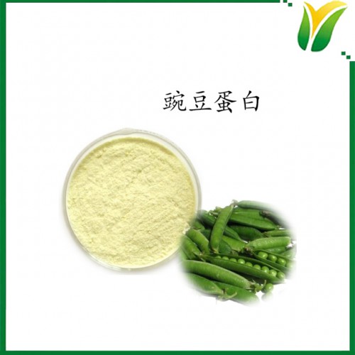 豌豆蛋白粉 豌豆蛋白质粉80%代餐粉营养补充剂 植物提取物