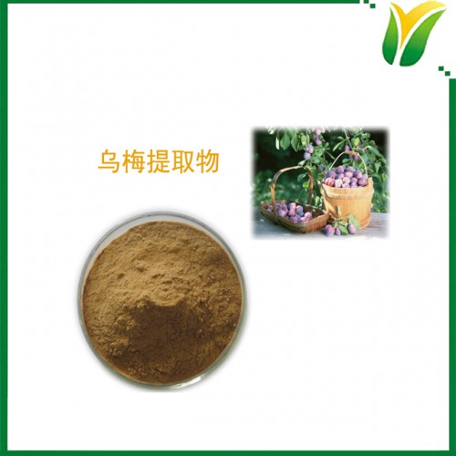 乌梅提取物5:1 乌梅提取粉 植物提取物