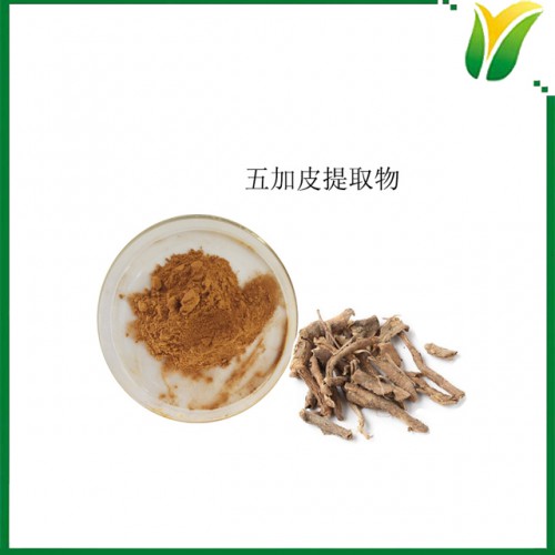 五加皮提取物5:1 细柱五加萃取粉 植物提取物