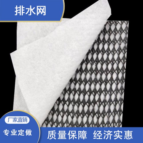 排水网 复合排水网 高强度复合排水网 三维复合排水网厂家