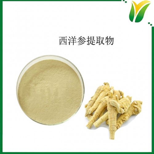 植物提取物 西洋参皂苷30% 西洋参提取物