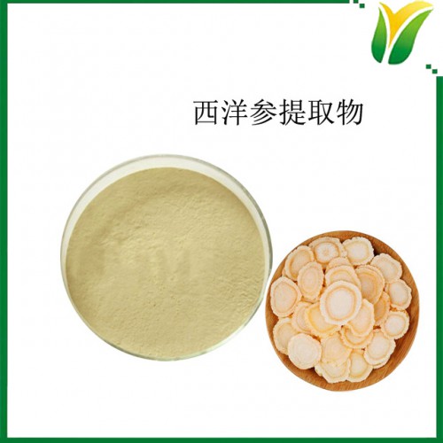 西洋参提取物皂苷10% 西洋参皂苷粉 植物提取物