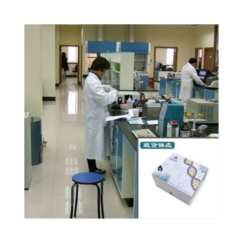 钙结合蛋白(CR)ELISA试剂盒