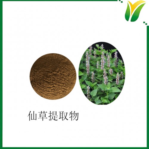 植物提取物 仙草提取物5:1 凉粉草比例提取粉