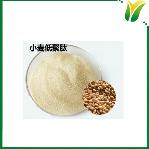 小麦低聚肽 植物肽 肽75% 总蛋白90% 小麦肽粉
